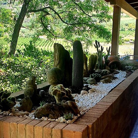 B&B Land & Sea Campofilone Zewnętrze zdjęcie