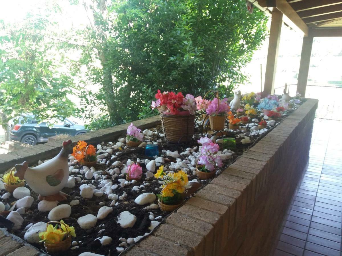 B&B Land & Sea Campofilone Zewnętrze zdjęcie