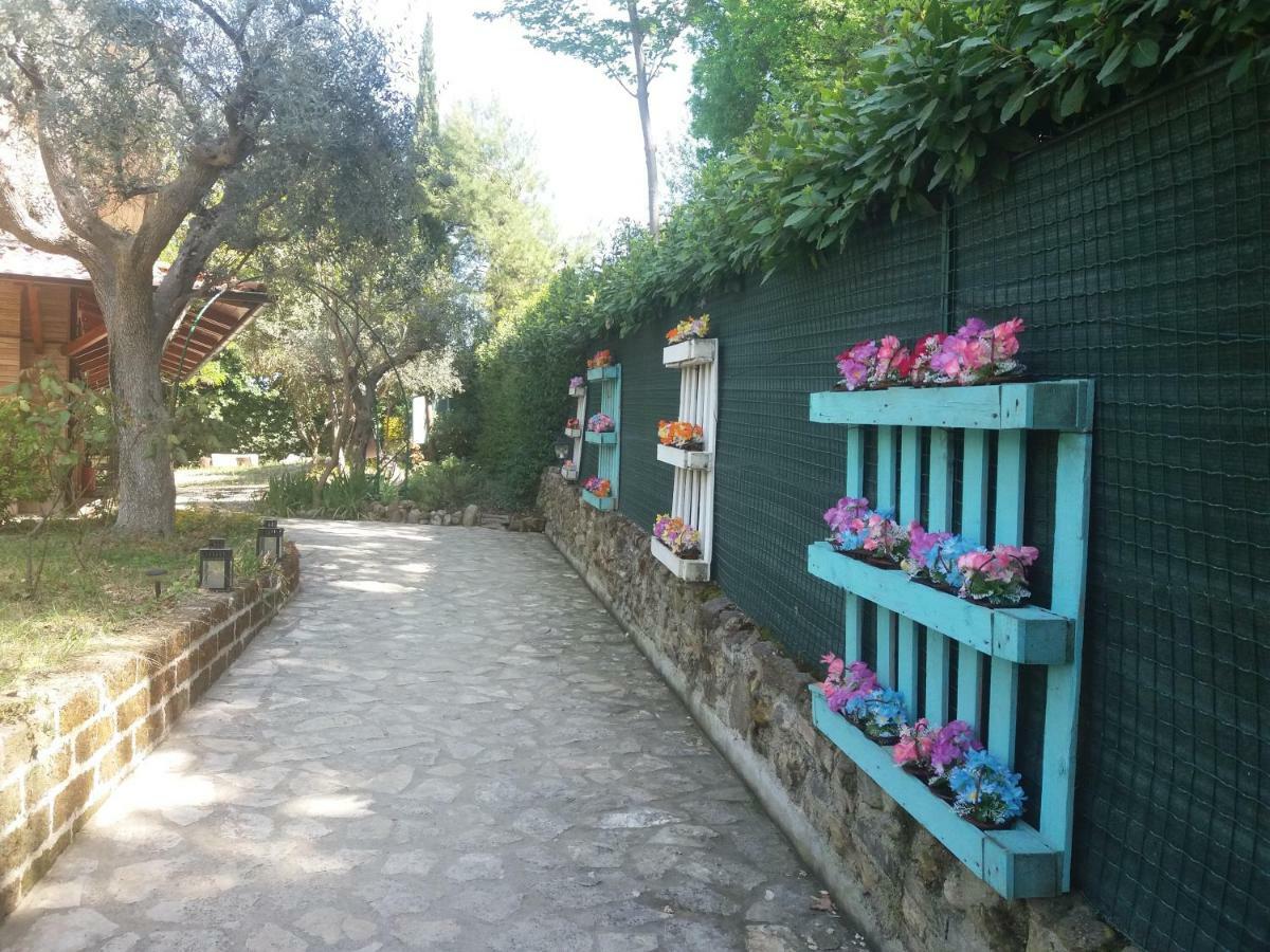 B&B Land & Sea Campofilone Zewnętrze zdjęcie
