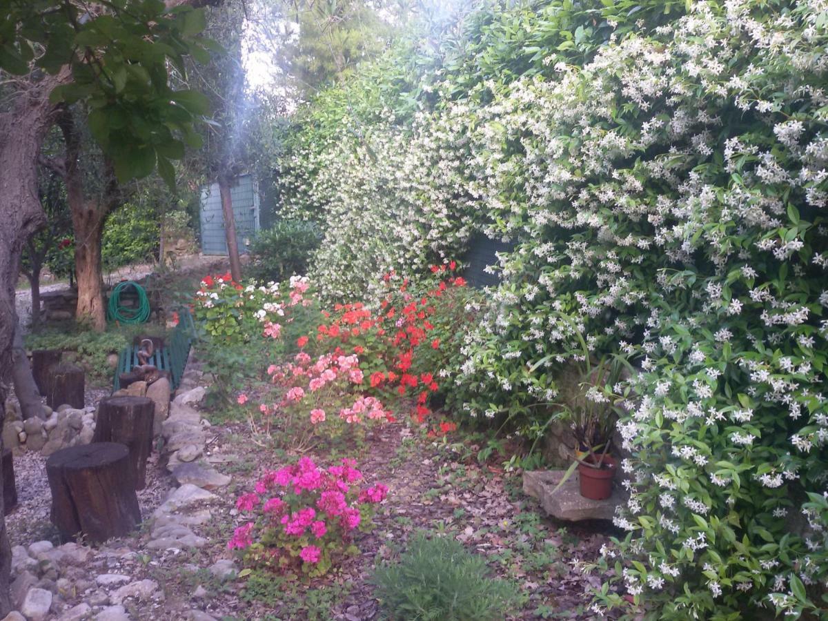 B&B Land & Sea Campofilone Zewnętrze zdjęcie
